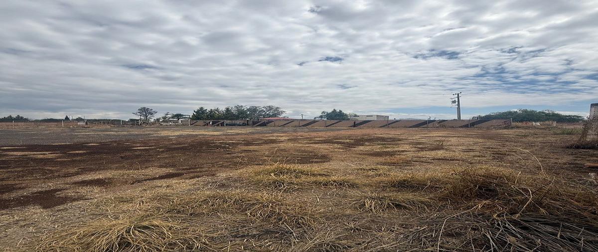 Foto de terreno habitacional en venta en  , la trinidad, aguascalientes, aguascalientes, 31081932 No. 04