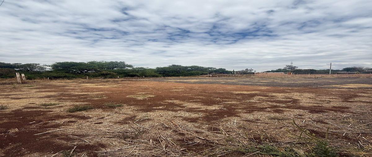 Foto de terreno habitacional en venta en  , la trinidad, aguascalientes, aguascalientes, 31081932 No. 05
