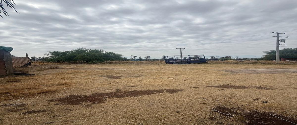 Foto de terreno habitacional en venta en  , la trinidad, aguascalientes, aguascalientes, 31081933 No. 03