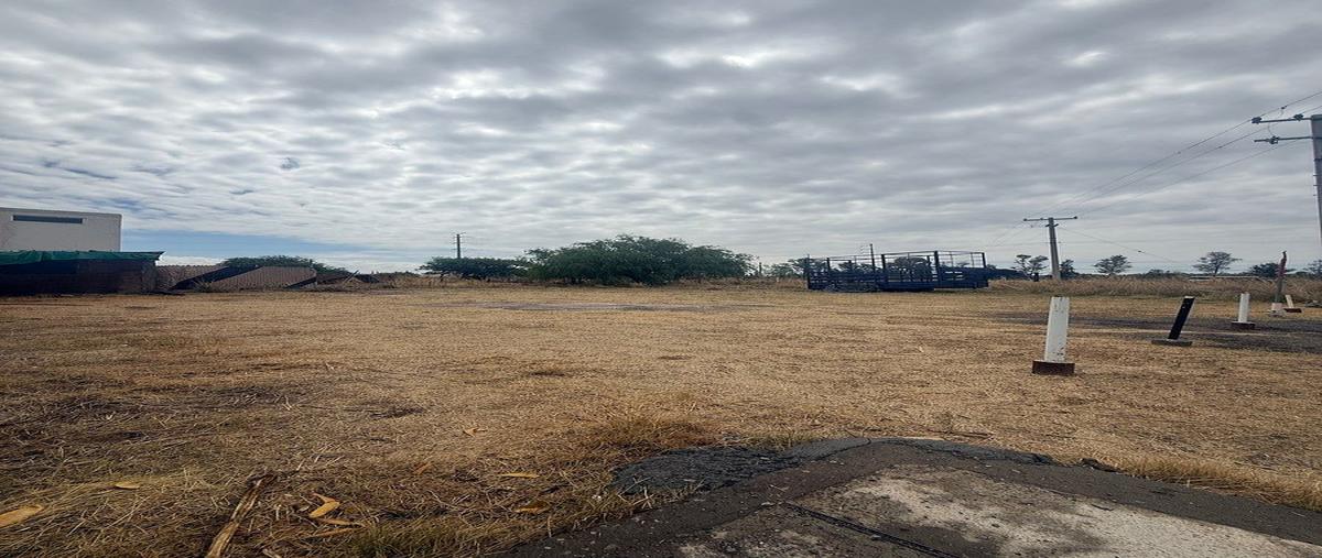 Foto de terreno habitacional en venta en  , la trinidad, aguascalientes, aguascalientes, 31081933 No. 05