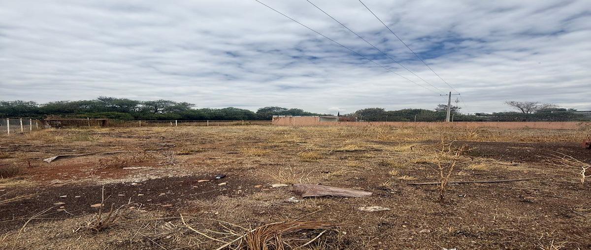Foto de terreno habitacional en venta en  , la trinidad, aguascalientes, aguascalientes, 31081934 No. 05