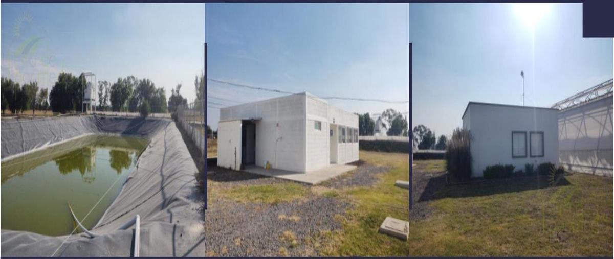 Foto de terreno habitacional en , la trinidad, santa cruz de juventino rosas, guanajuato, 28677102 foto 05 Foto de terreno habitacional en venta en , la trinidad, santa cruz de juventino rosas, guanajuato, 28677102 No. 05