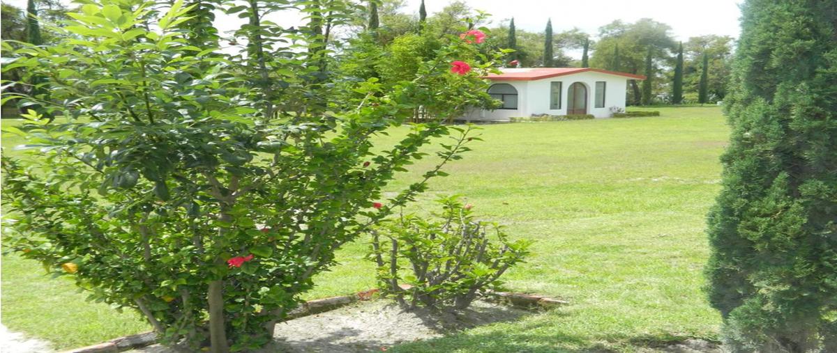 Foto de terreno habitacional en , la trinidad, tecali de herrera, puebla, 26667280 foto 02 Foto de terreno habitacional en venta en , la trinidad, tecali de herrera, puebla, 26667280 No. 02