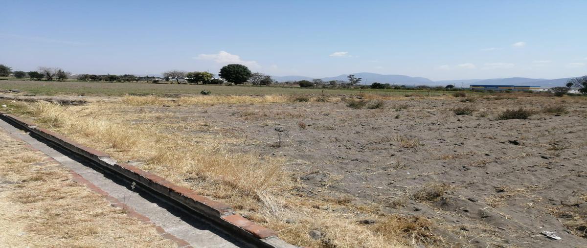 Foto de terreno habitacional en venta en  , la trinidad tepango, atlixco, puebla, 0 No. 01