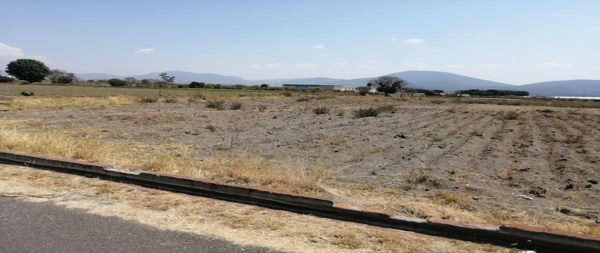 Foto de terreno habitacional en venta en  , la trinidad tepango, atlixco, puebla, 0 No. 04