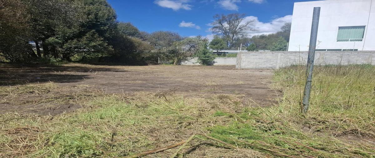 Foto de terreno habitacional en venta en  , la trinidad tepehitec, tlaxcala, tlaxcala, 30343099 No. 03