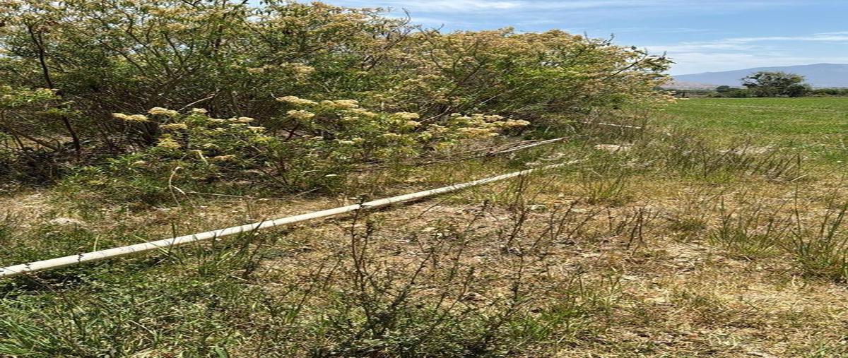 Foto de terreno habitacional en , la trinidad, tequisquiapan, querétaro, 0 foto 02 Foto de terreno habitacional en venta en , la trinidad, tequisquiapan, querétaro, 0 No. 02