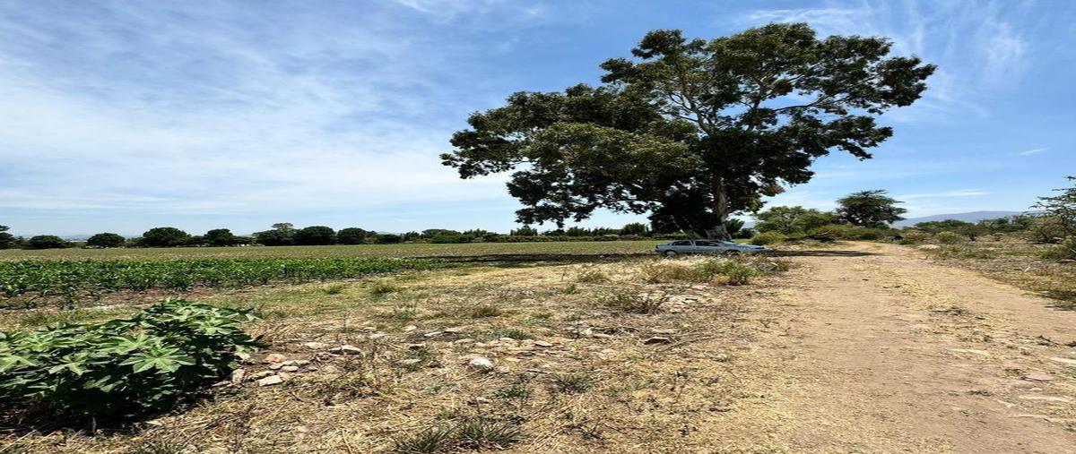 Foto de terreno habitacional en venta en  , la trinidad, tequisquiapan, querétaro, 29123768 No. 05