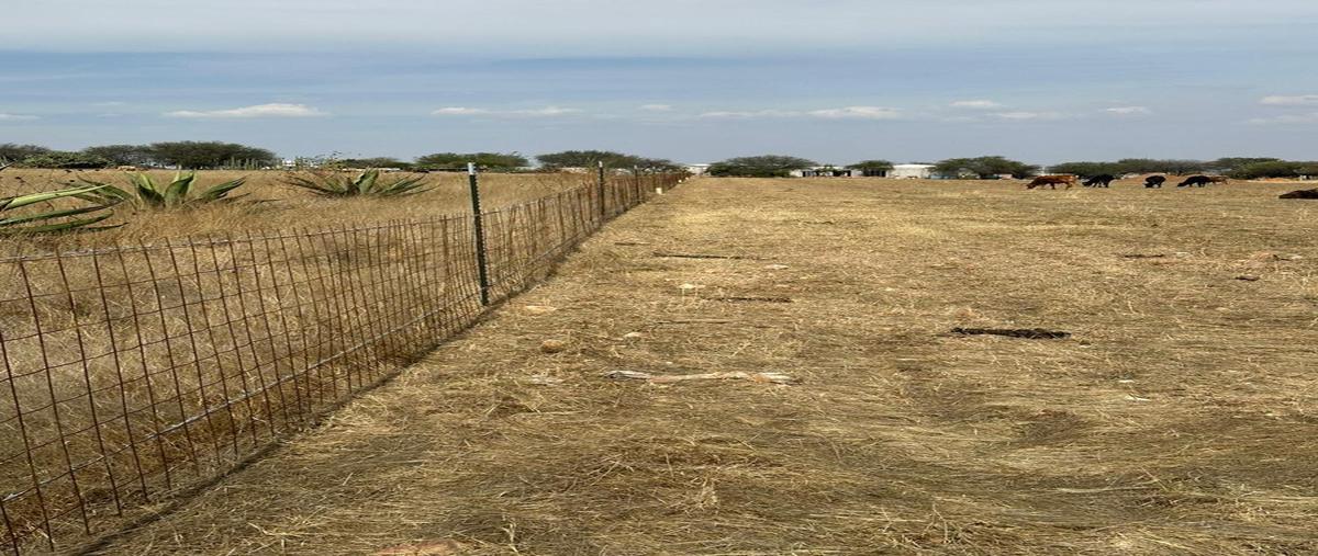 Foto de terreno habitacional en venta en  , la trinidad, tequisquiapan, querétaro, 0 No. 05