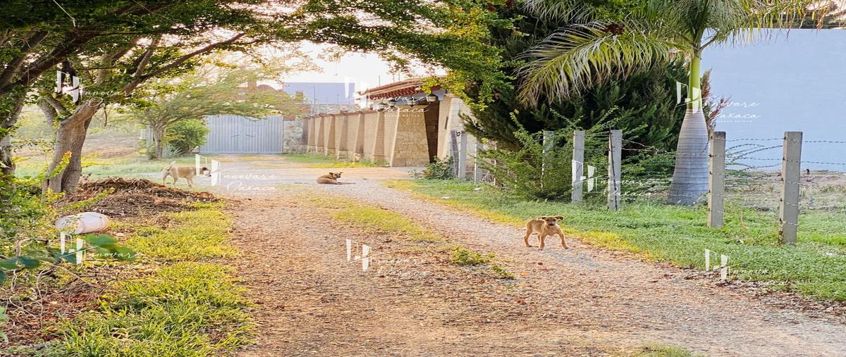 Foto de terreno habitacional en venta en  , la trinidad, tlalixtac de cabrera, oaxaca, 27880907 No. 04