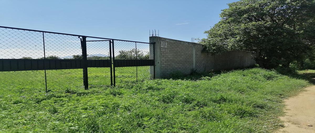 Foto de terreno habitacional en venta en  , la trinidad, tlalixtac de cabrera, oaxaca, 0 No. 03