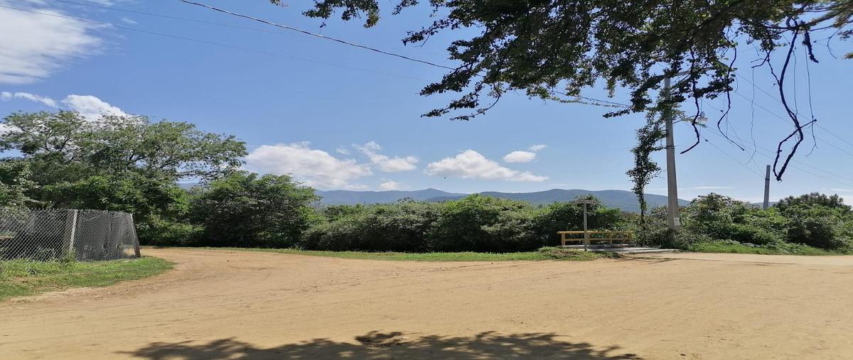 Foto de terreno habitacional en venta en  , la trinidad, tlalixtac de cabrera, oaxaca, 0 No. 05