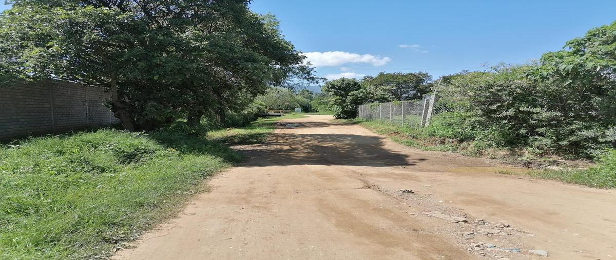 Foto de terreno habitacional en venta en  , la trinidad, tlalixtac de cabrera, oaxaca, 0 No. 04