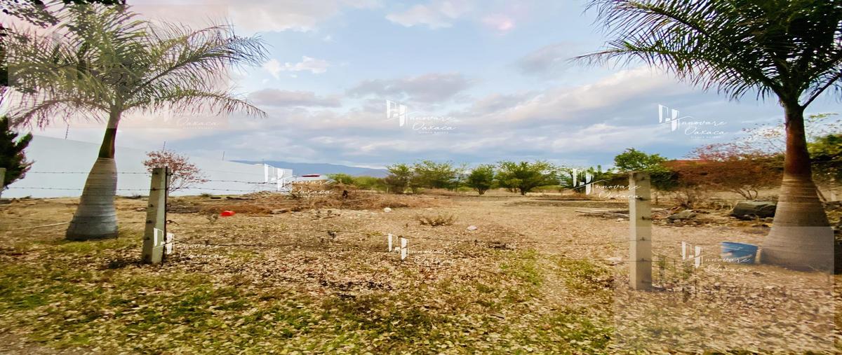 Foto de terreno habitacional en venta en  , la trinidad, tlalixtac de cabrera, oaxaca, 0 No. 03