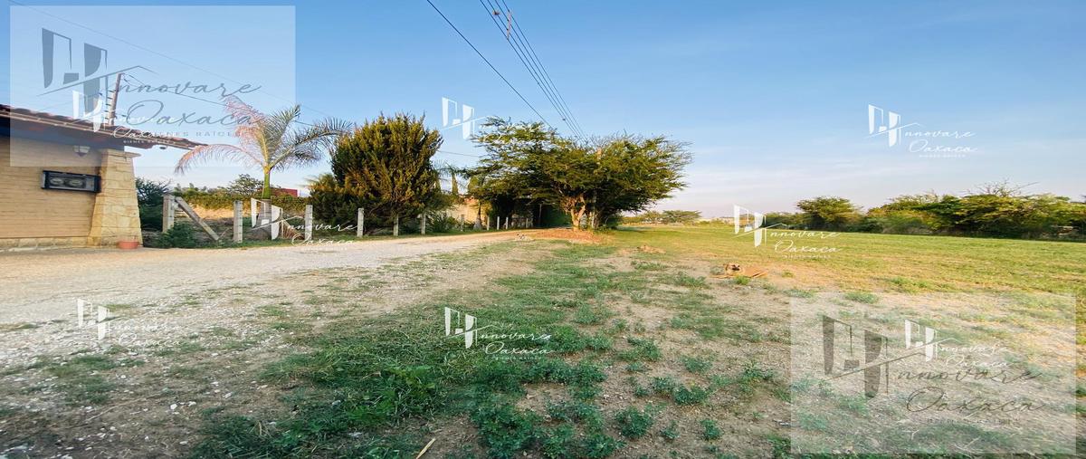 Foto de terreno habitacional en venta en  , la trinidad, tlalixtac de cabrera, oaxaca, 0 No. 04