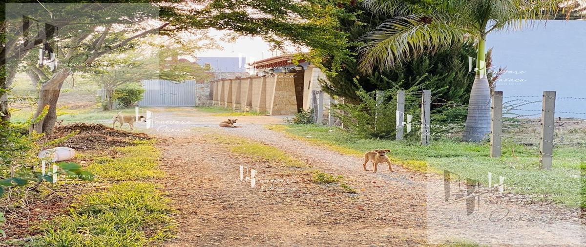 Foto de terreno habitacional en venta en  , la trinidad, tlalixtac de cabrera, oaxaca, 0 No. 05