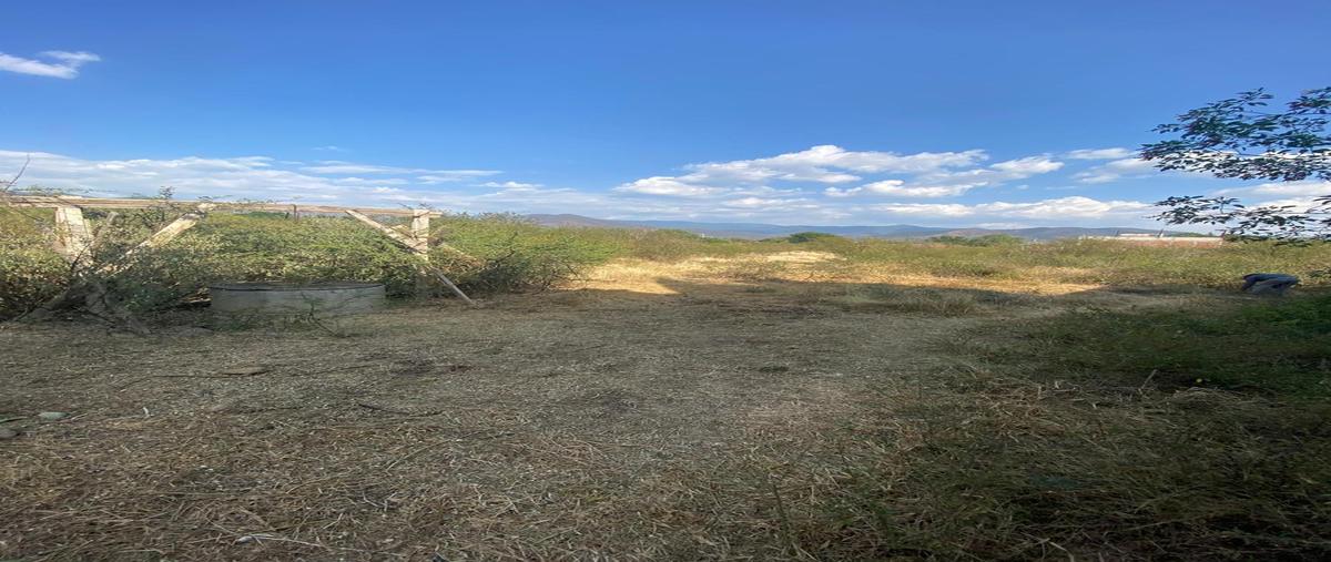 Foto de terreno habitacional en venta en  , la trinidad, tlalixtac de cabrera, oaxaca, 0 No. 04