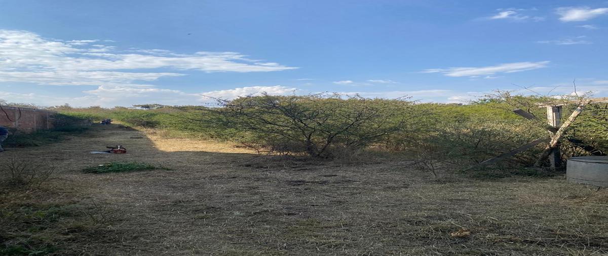 Foto de terreno habitacional en venta en  , la trinidad, tlalixtac de cabrera, oaxaca, 0 No. 05