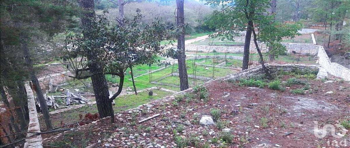 Foto de terreno habitacional en venta en la troje , corral de piedra, san cristóbal de las casas, chiapas, 30359989 No. 04