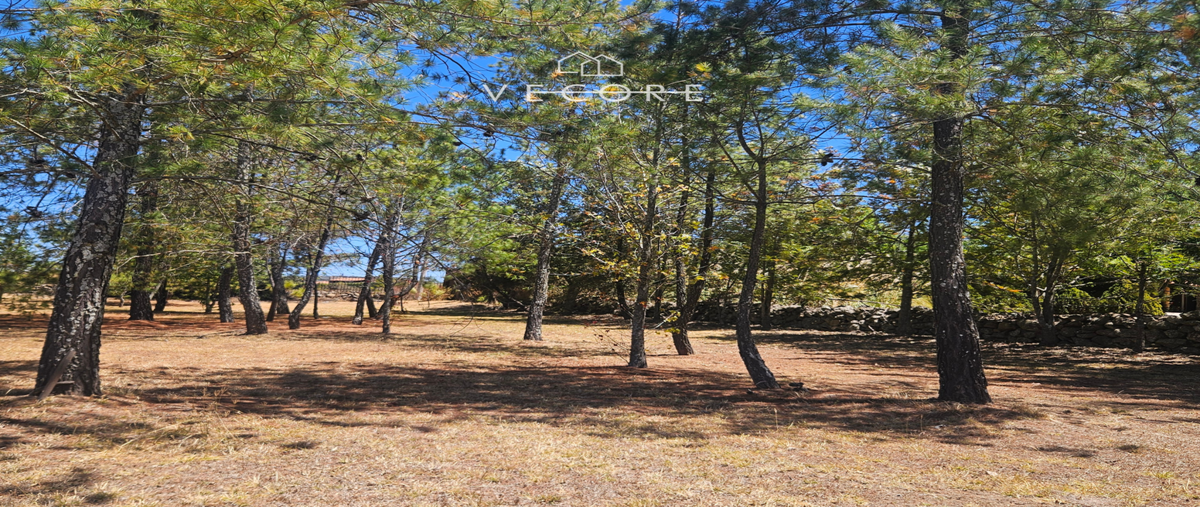 Foto de terreno habitacional en venta en la tuna amarilla , tapalpa, tapalpa, jalisco, 29719823 No. 03