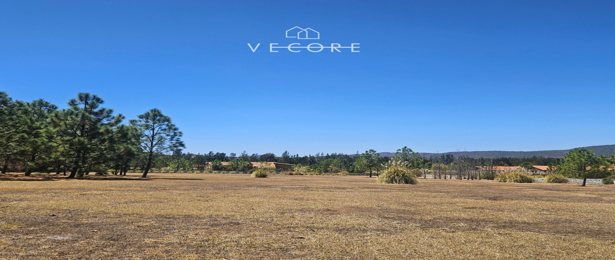 Foto de terreno habitacional en venta en la tuna amarilla , tapalpa, tapalpa, jalisco, 29719823 No. 04