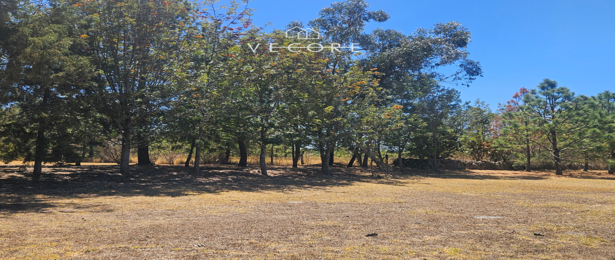 Foto de terreno habitacional en venta en la tuna amarilla , tapalpa, tapalpa, jalisco, 29719823 No. 05