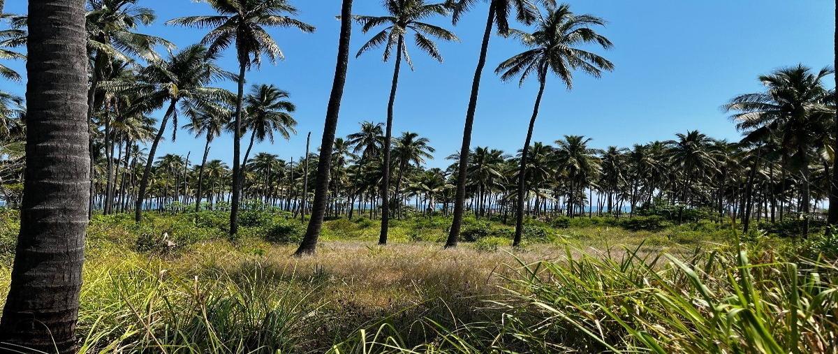 Foto de terreno habitacional en venta en  , la unión 2a secc, paraíso, tabasco, 26420118 No. 03