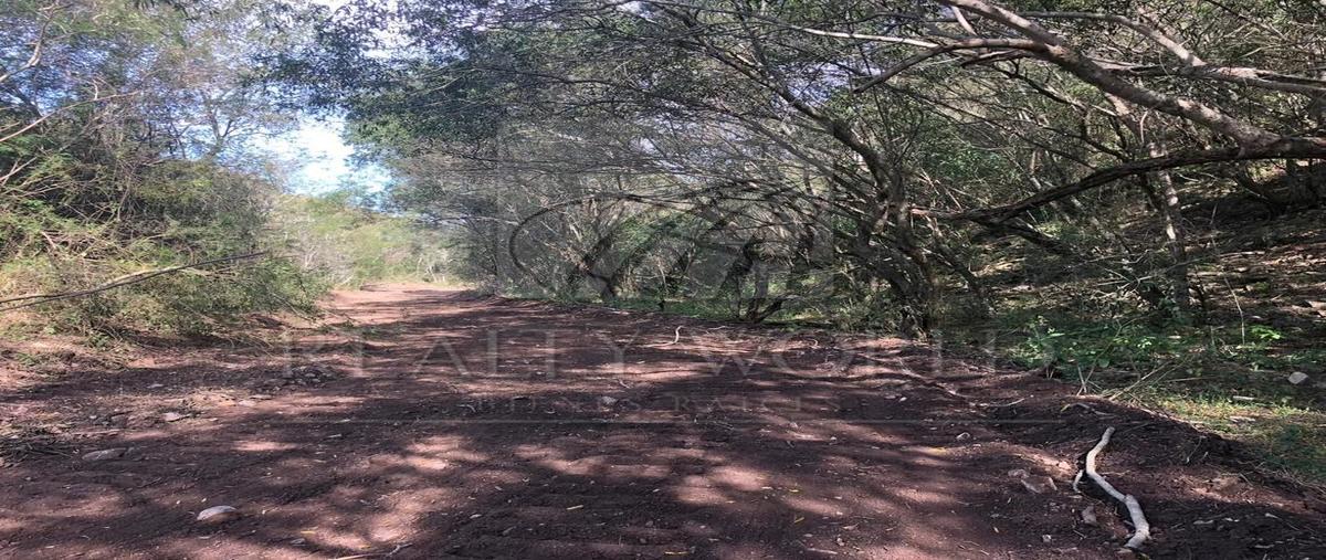 Foto de rancho en , la unión, montemorelos, nuevo león, 17779698 foto 03 Foto de rancho en venta en , la unión, montemorelos, nuevo león, 17779698 No. 03