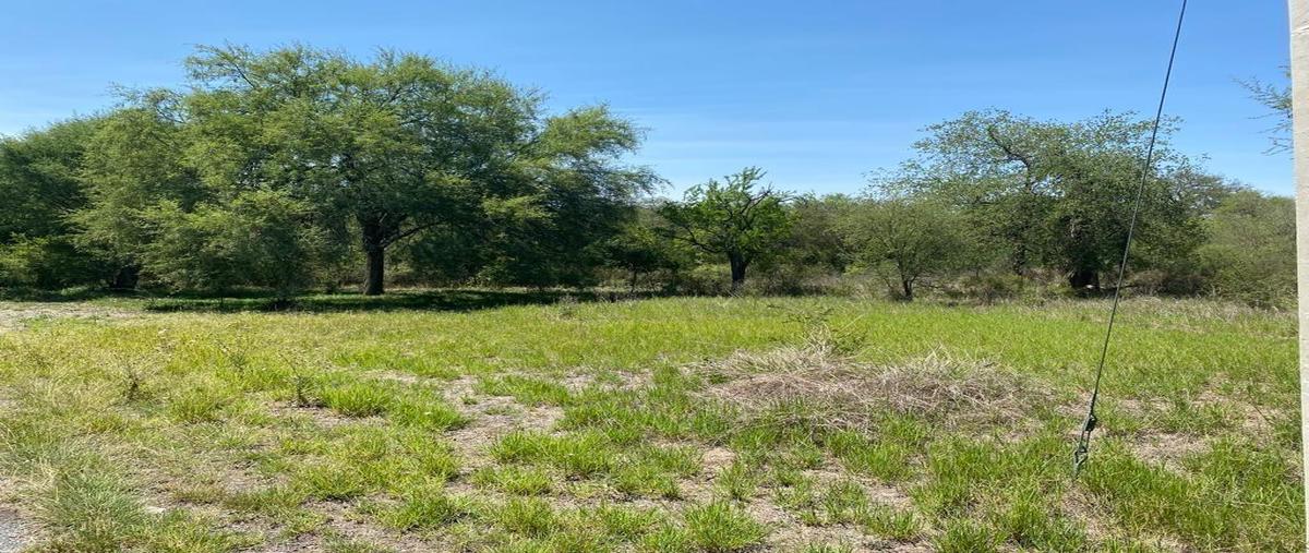 Foto de terreno habitacional en venta en  , la unión, montemorelos, nuevo león, 0 No. 05