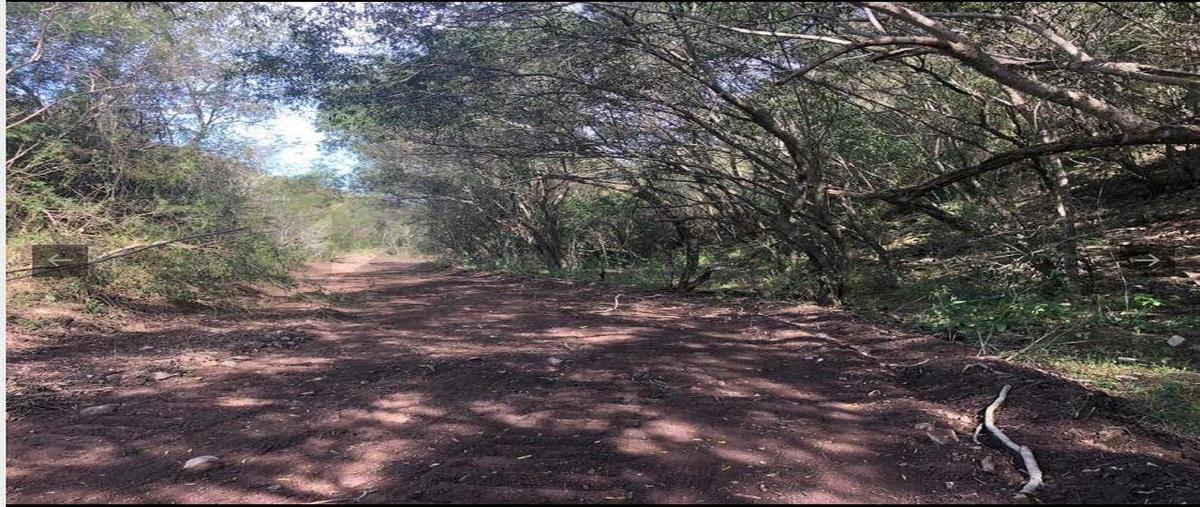 Foto de rancho en , la unión, montemorelos, nuevo león, 31026412 foto 01 Foto de rancho en venta en , la unión, montemorelos, nuevo león, 31026412 No. 01
