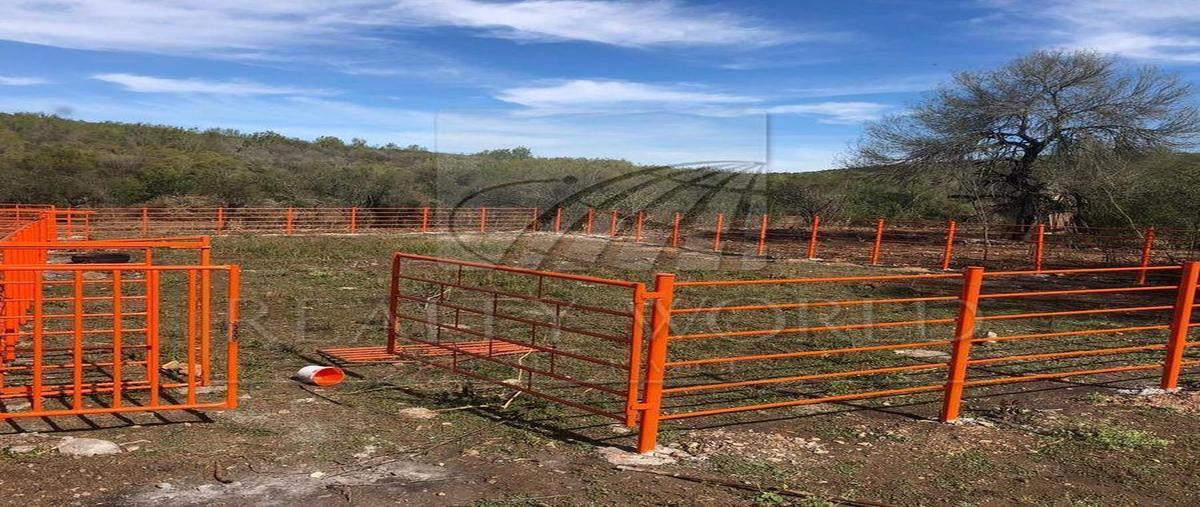Foto de rancho en , la unión, montemorelos, nuevo león, 31026412 foto 02 Foto de rancho en venta en , la unión, montemorelos, nuevo león, 31026412 No. 02