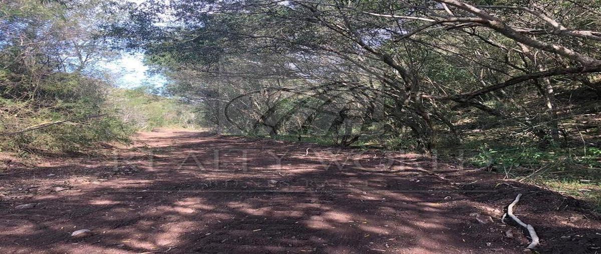 Foto de rancho en , la unión, montemorelos, nuevo león, 31026412 foto 04 Foto de rancho en venta en , la unión, montemorelos, nuevo león, 31026412 No. 04