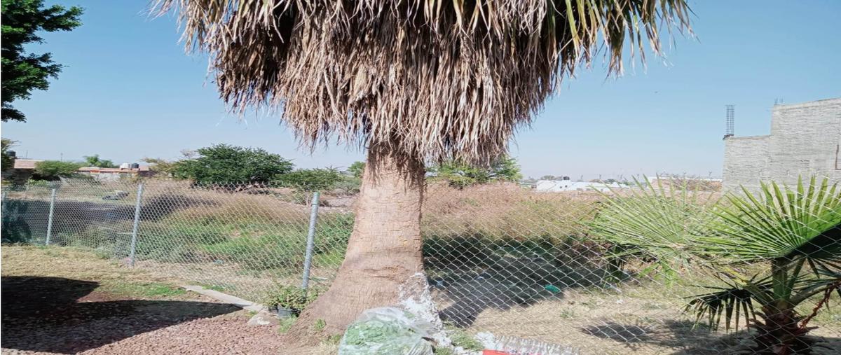 Foto de terreno habitacional en venta en  , la unión, numarán, michoacán de ocampo, 25936497 No. 03