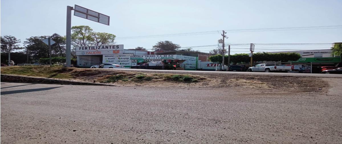 Foto de terreno habitacional en venta en  , la unión, numarán, michoacán de ocampo, 25936497 No. 05