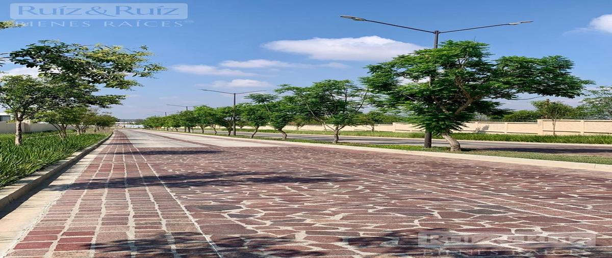 Foto de terreno habitacional en venta en  , la valenciana, león, guanajuato, 0 No. 04