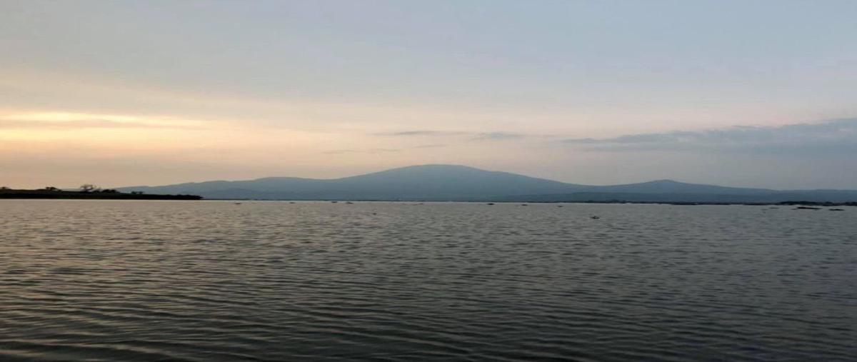 Foto de terreno habitacional en , la vega, teuchitlán, jalisco, 0 foto 03 Foto de terreno habitacional en venta en , la vega, teuchitlán, jalisco, 0 No. 03