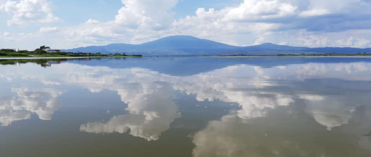 Foto de terreno habitacional en , la vega, teuchitlán, jalisco, 0 foto 04 Foto de terreno habitacional en venta en , la vega, teuchitlán, jalisco, 0 No. 04
