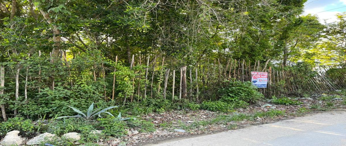 Foto de terreno comercial en renta en la veleta, calle 7 , tulum centro, tulum, quintana roo, 28172664 No. 03