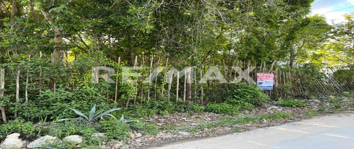 Foto de terreno comercial en renta en la veleta, calle 7 , tulum centro, tulum, quintana roo, 0 No. 03