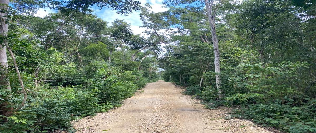 Foto de terreno habitacional en venta en la veleta , tulum centro, tulum, quintana roo, 28173139 No. 04