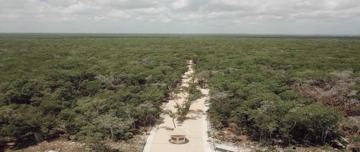 Foto de terreno habitacional en venta en  , la veleta, tulum, quintana roo, 0 No. 03