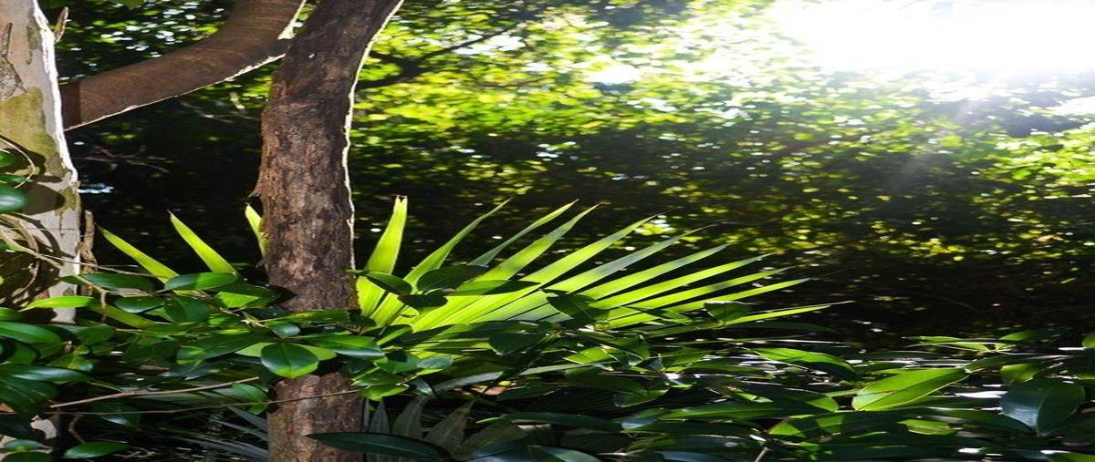 Foto de terreno habitacional en venta en  , la veleta, tulum, quintana roo, 0 No. 04