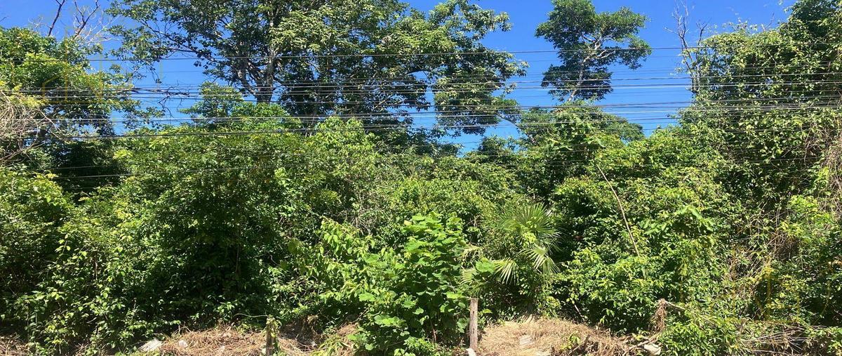 Foto de terreno habitacional en venta en  , la veleta, tulum, quintana roo, 29828093 No. 03