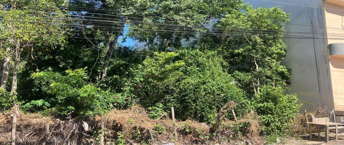 Foto de terreno habitacional en venta en  , la veleta, tulum, quintana roo, 29828093 No. 04