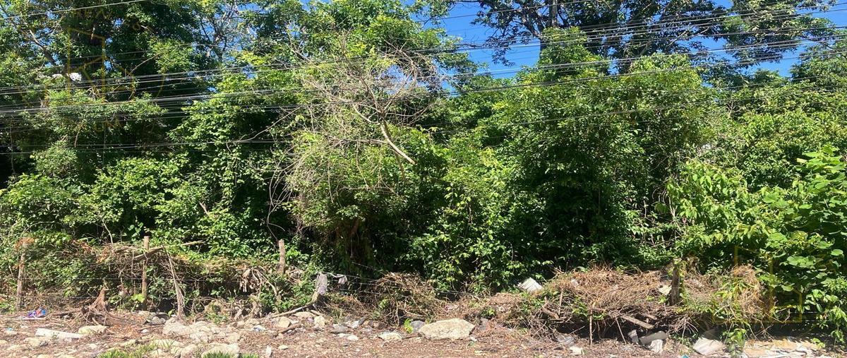 Foto de terreno habitacional en venta en  , la veleta, tulum, quintana roo, 29828093 No. 05