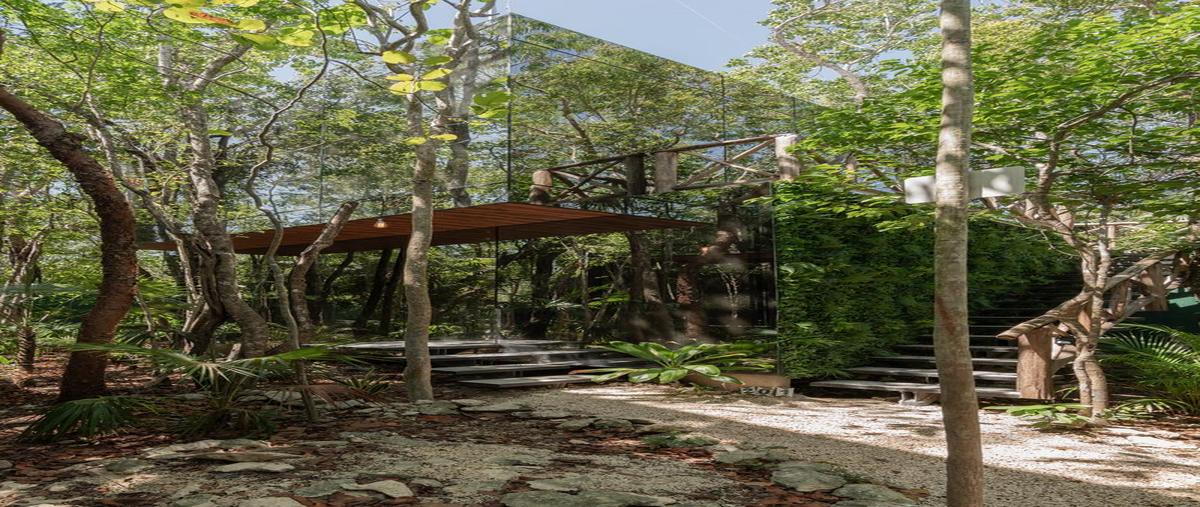 Foto de departamento en , la veleta, tulum, quintana roo, 0 foto 01 Foto de departamento en renta en , la veleta, tulum, quintana roo, 0 No. 01