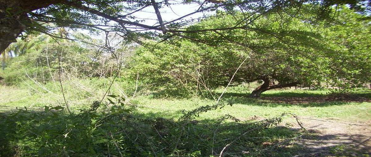 Foto de terreno habitacional en venta en  , la venta, acapulco de juárez, guerrero, 29446696 No. 03