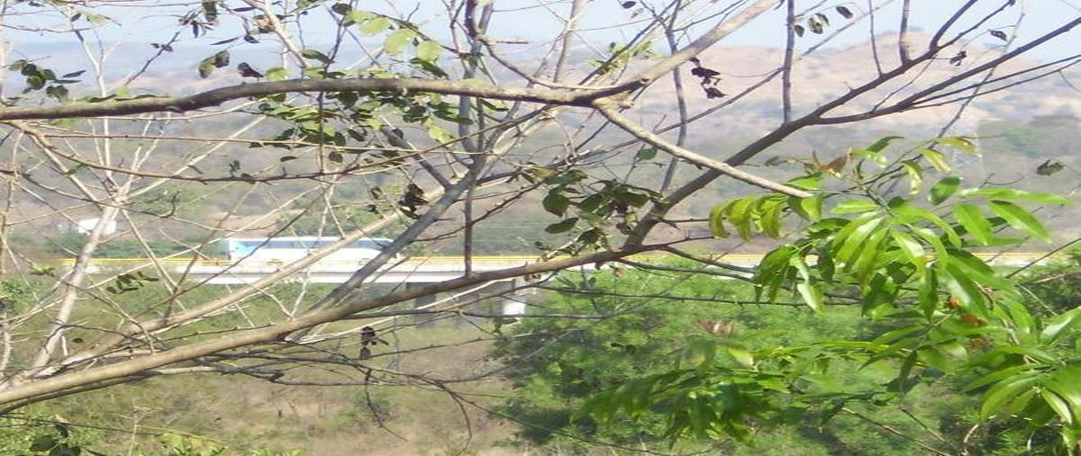 Foto de terreno habitacional en venta en  , la venta, acapulco de juárez, guerrero, 29446697 No. 04