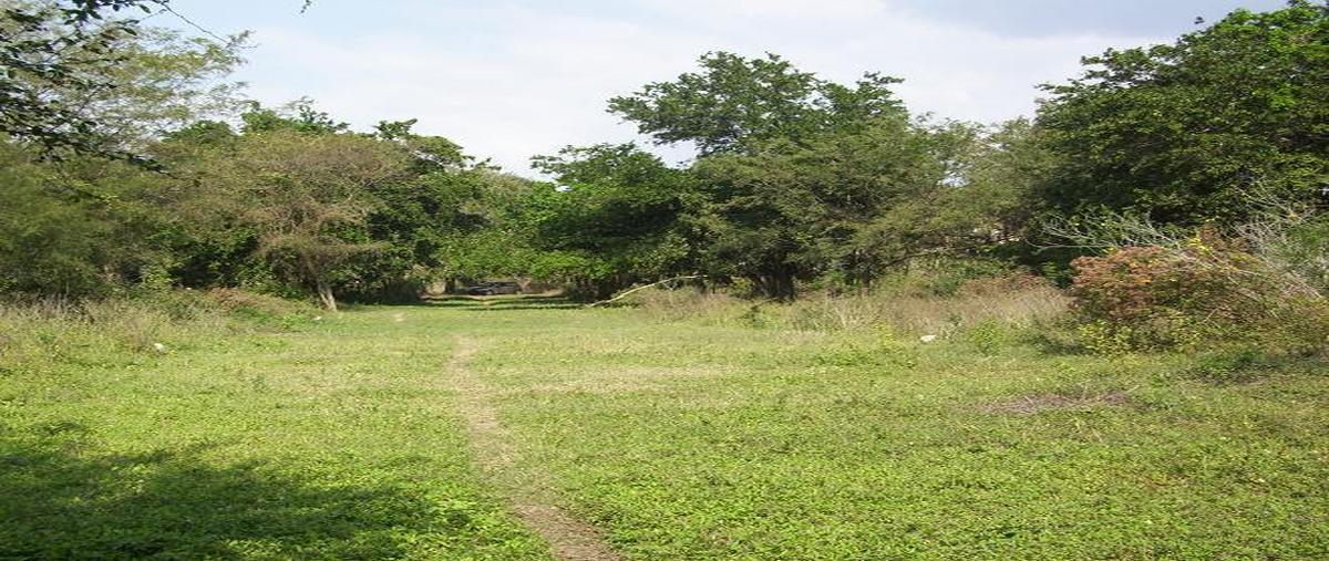 Foto de terreno habitacional en venta en  , la venta, acapulco de juárez, guerrero, 29446697 No. 05