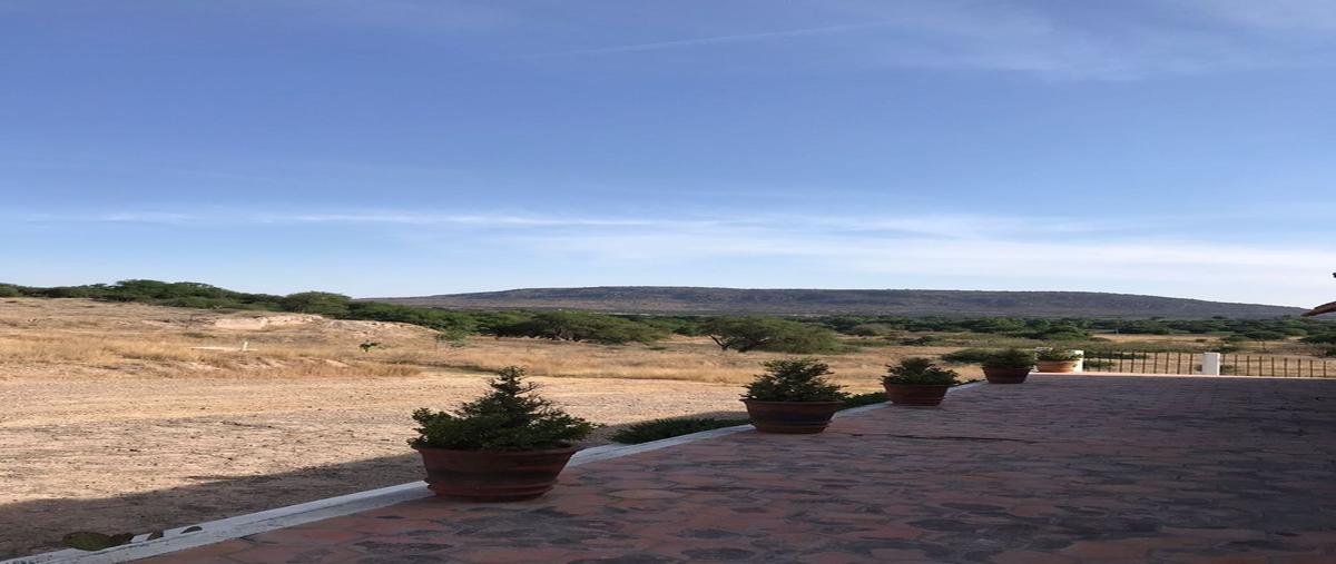 Foto de terreno habitacional en venta en  , la venta, dolores hidalgo cuna de la independencia nacional, guanajuato, 24912020 No. 04